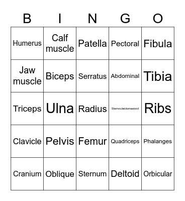 Musculoskeletal system Bingo Card