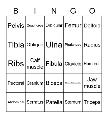 Musculoskeletal system Bingo Card