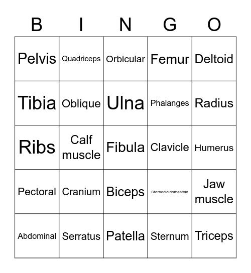Musculoskeletal system Bingo Card