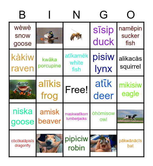 "Pisiskiwak" ~ Animal Bingo Card