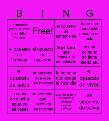 C5A Realidades 2 flip for descriptions Bingo Card