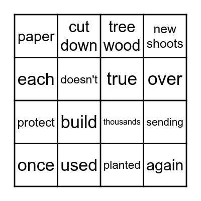 2.3  Bamboo Bingo Card