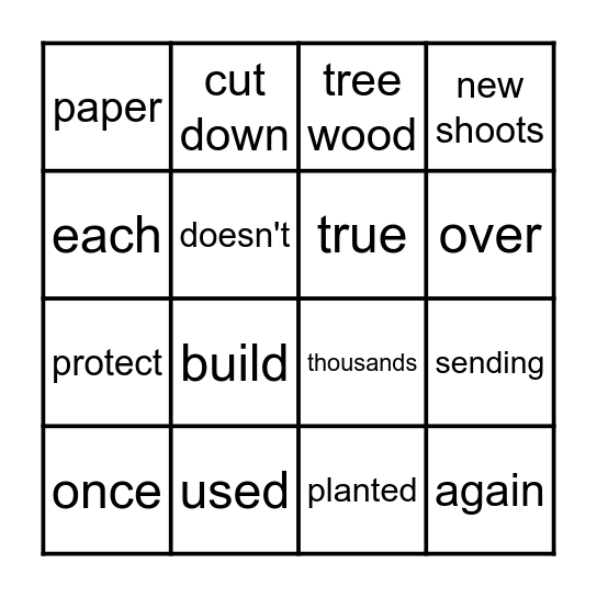 2.3  Bamboo Bingo Card