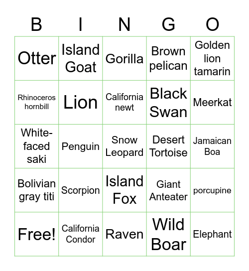 Santa Barbara Zoo Bingo Card