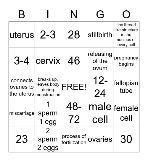 CH 4-1: Conception Flow Chart Bingo Card