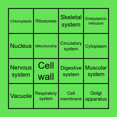 Biology and Beyond! Bingo Card