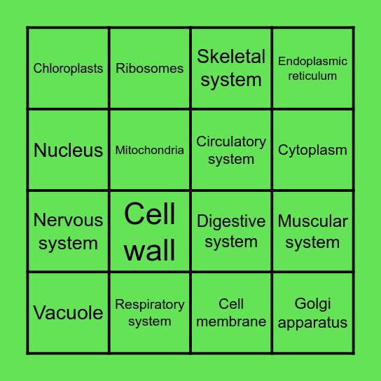 Biology and Beyond! Bingo Card
