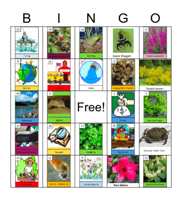 Invasive Species Bingo Card