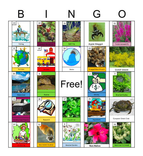 Invasive Species Bingo Card