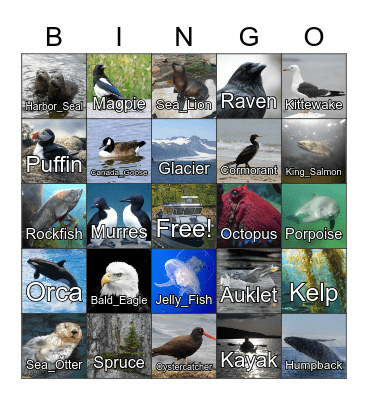 Resurrection Bay Bingo Card