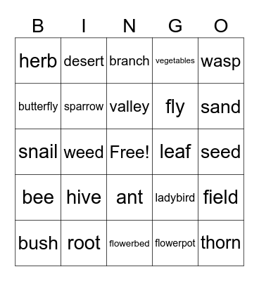Untitled BingoJunior Explorer 6, unit 8 Bingo Card