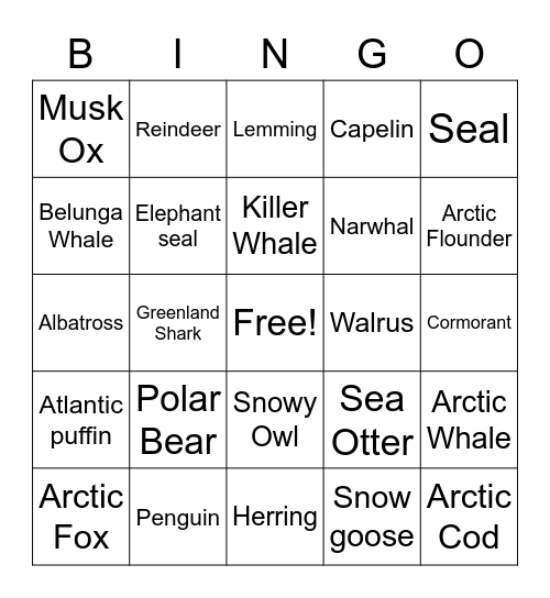 Polar Animals Bingo Card