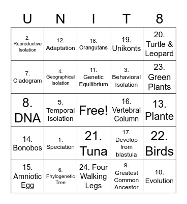 Unit 8 - Speciation and Cladograms Bingo Card
