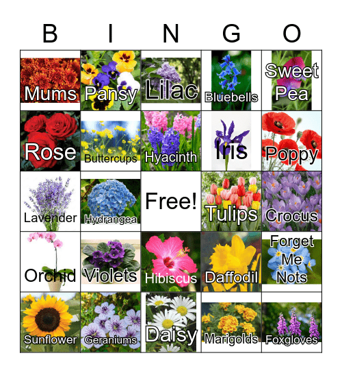 Flower Varieties Bingo Card