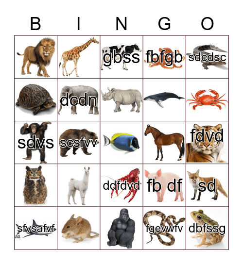 Animals Bingo Card