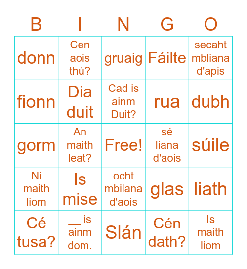 Mé Féin Bingo Card