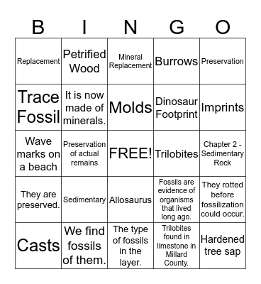 FOSSIL BINGO Card