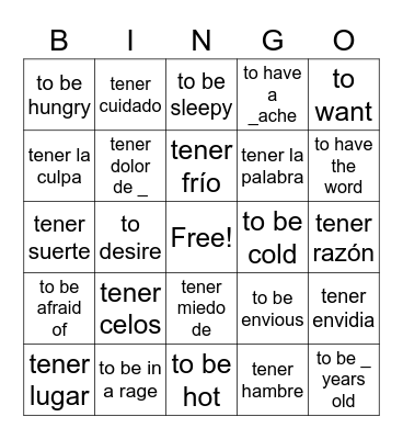 Idioms with TENER Bingo Card