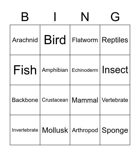 Invertebrate Bingo Card