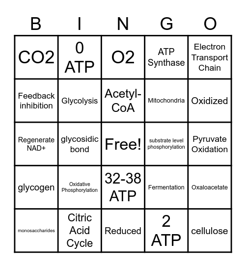 Carbohydrates and Energy Bingo Card