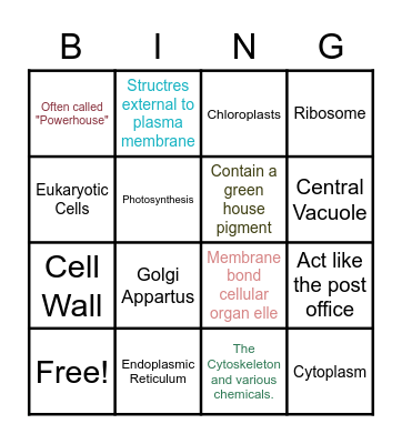 Welcome to BIO 156 BINGO ! Bingo Card