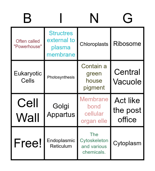 Welcome to BIO 156 BINGO ! Bingo Card