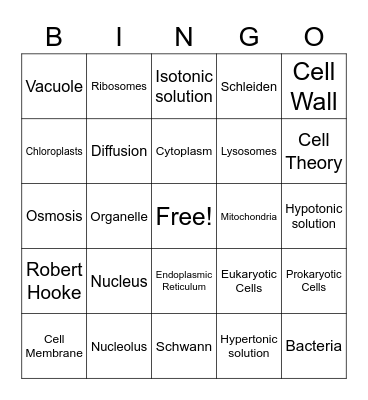 BCMS Cells Bingo Card