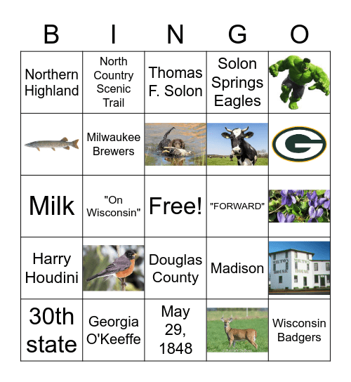 Wisconsin Symbols Solon Springs Bingo Card