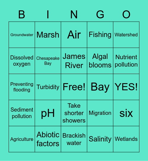 Watersheds Bingo Card