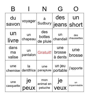 ma valise vocabulary Bingo Card