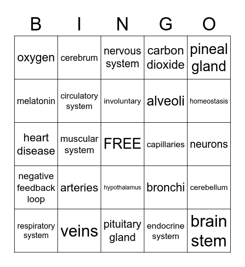 Human Body Bingo! Bingo Card