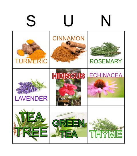 Medicine from our Garden Bingo Card