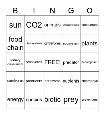 Food Chain Bingo Card