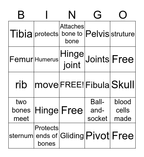 Skeletal System Bingo Card