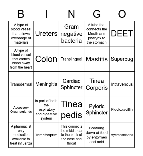 Anatomy, Pathogens, OTC, Dose Forms BINGO Card