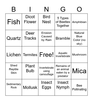 Nature Hike Photo Bingo Card