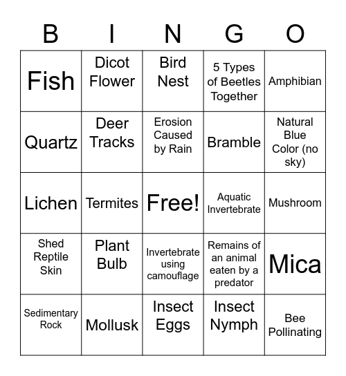 Nature Hike Photo Bingo Card