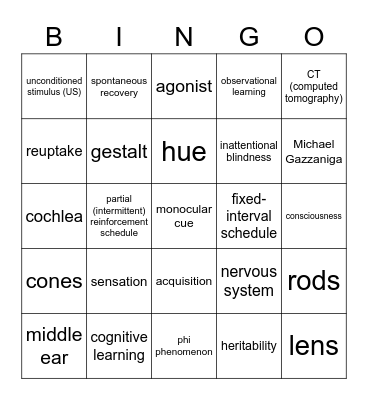 AP PSYCH- Units 3, 4 & 5 Bingo Card