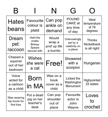 enough to break the ice Bingo Card