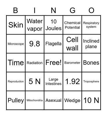 Science End Year Review Bingo Card