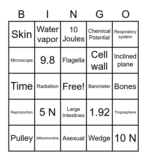 Science End Year Review Bingo Card