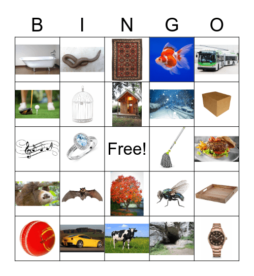 Ending Phenomes Bingo Card