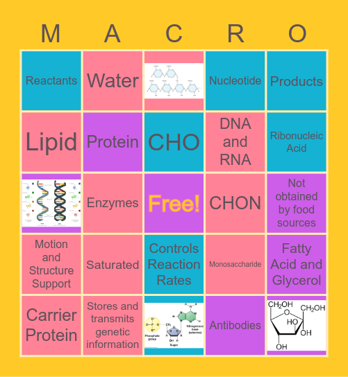 Macromolecules Bingo Card