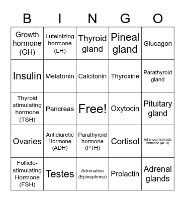 Endocrine System Bingo Card