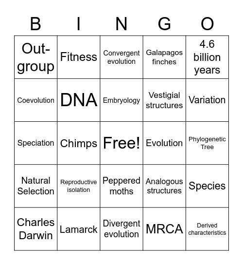 Evolution BINGO Card