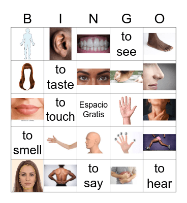 El Cuerpo y Los Cinco Sentidos Bingo Card