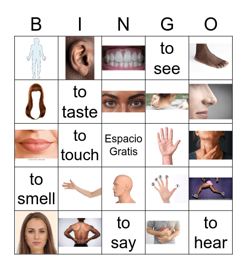 El Cuerpo y Los Cinco Sentidos Bingo Card