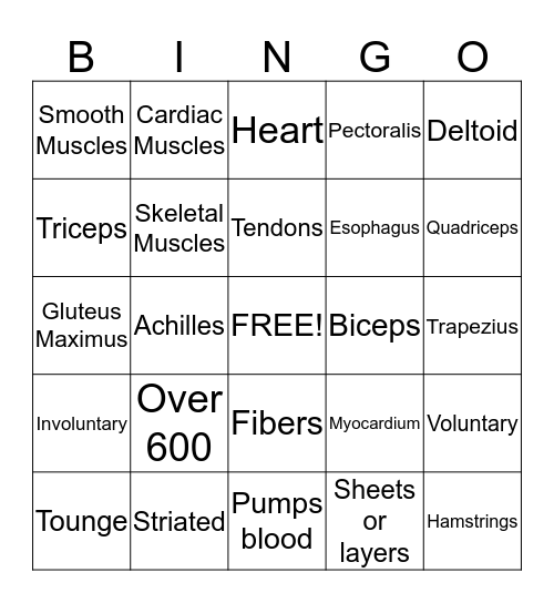 Muscular System Bingo Card