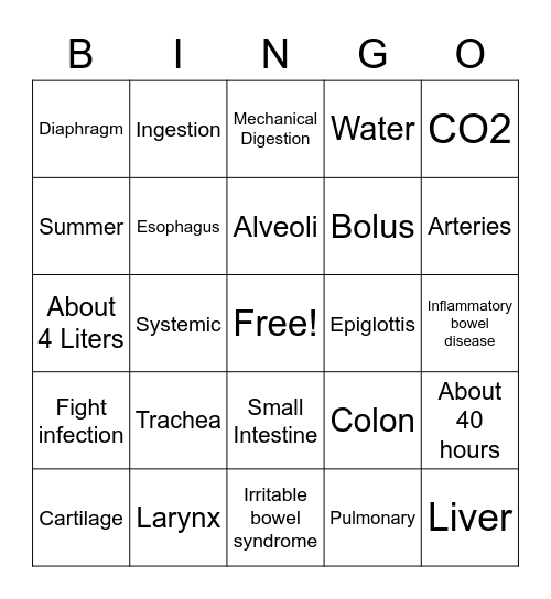 Circulatory, Digestive, and Respiratory Systems Bingo Card