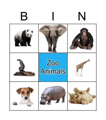 Zoo Animals Bingo Card